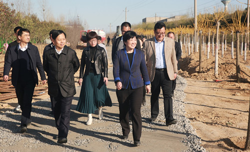 上街区委书记宋洁督导上街区国土绿化工作